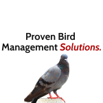 Proven Bird Management Solutions