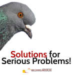 Solutions For Serious Problems!