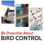 Be Proactive About Bird Control!