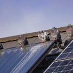 What Attracts Birds to Commercial Buildings?
